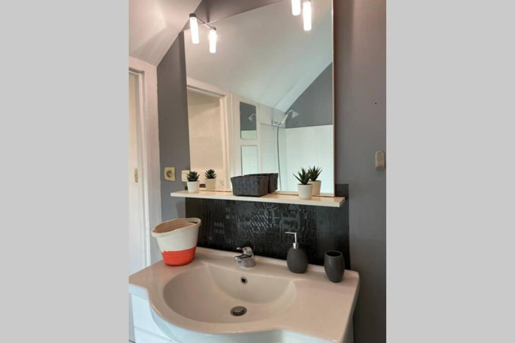 Le Nid Du Nord Appartement Dijon
